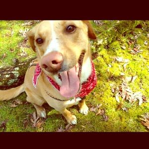 Meet your Posher, Samantha